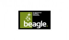 Beagle IT